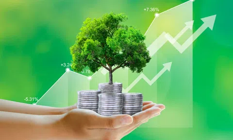 Đẩy mạnh sử dụng năng lượng hiệu quả, TP.HCM hướng đến tăng trưởng xanh