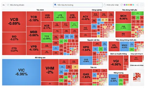 Làn sóng bán tháo kéo VN-Index rơi mạnh về vùng 1.600 điểm