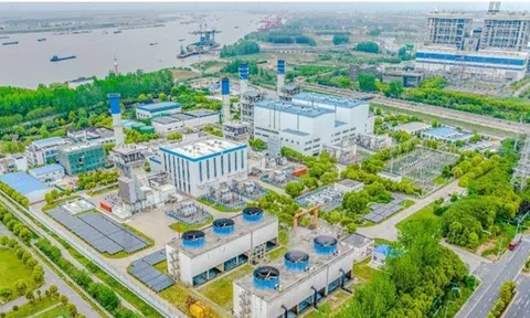 Tín dụng xanh mở rộng quy mô, tiệm cận 780.000 tỷ đồng