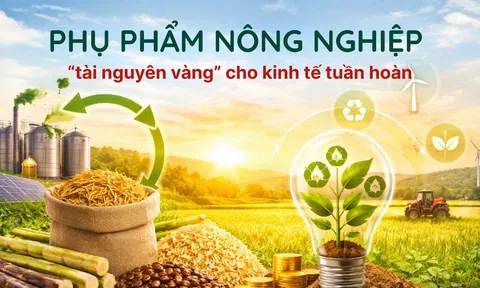 [eMagazine] Phụ phẩm nông nghiệp - “tài nguyên vàng” cho kinh tế tuần hoàn