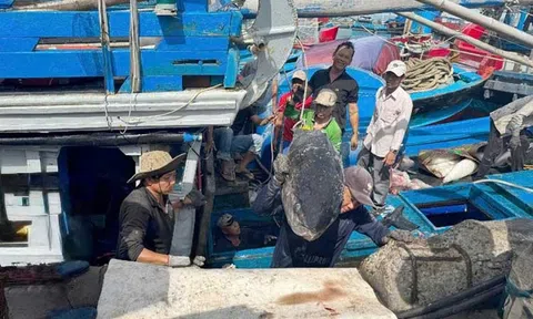 Các hành vi sai phạm trong thủy sản có thể chịu mức phạt 1 tỷ đồng