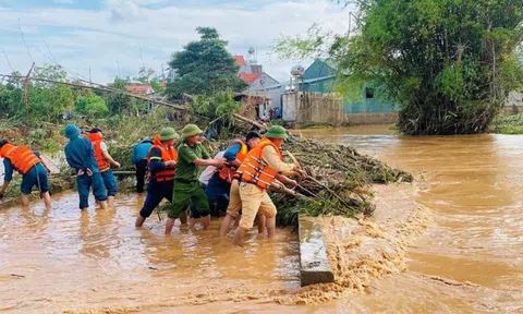 Tăng cường năng lực địa phương trong phòng, chống thiên tai