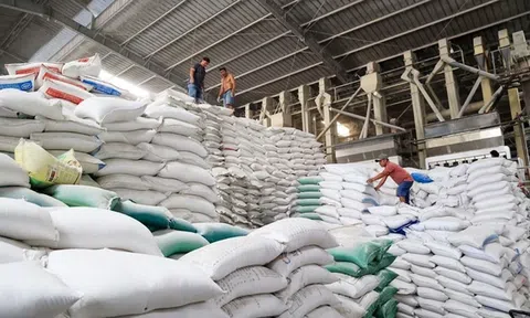 Kiến nghị bổ sung dự trữ lương thực quốc gia để hỗ trợ thị trường lúa gạo
