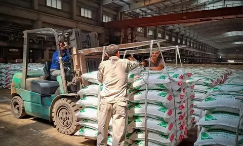 Ngành phân bón đối mặt áp lực chi phí, doanh nghiệp kiến nghị chính sách hỗ trợ