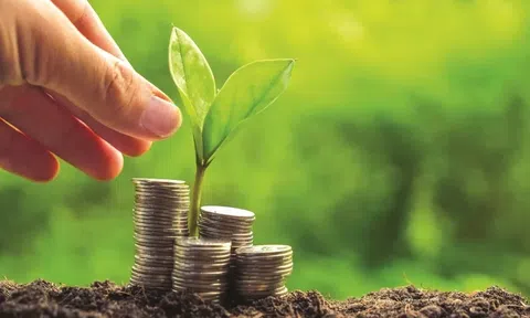 Ưu đãi thuế cá nhân nhằm thúc đẩy thị trường carbon và trái phiếu xanh