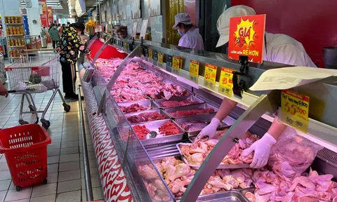 Thí điểm sàn giao dịch thịt heo: Kỳ vọng định hình lại cơ chế giá trên thị trường