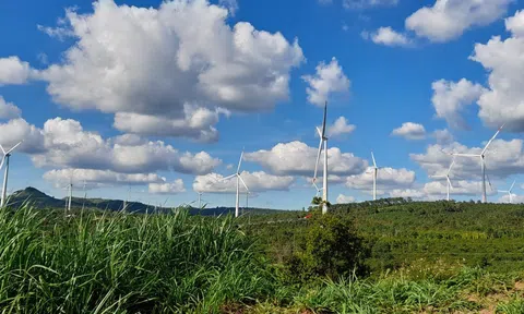 Chủ động hội nhập khu vực, Việt Nam đẩy mạnh hợp tác phát triển carbon xanh dương