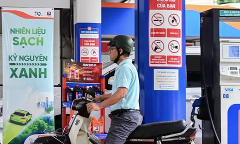 Đẩy nhanh lộ trình xăng sinh học, E10 có thể phủ sóng toàn quốc từ cuối tháng 4