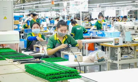 Doanh nghiệp tăng tốc chuyển đổi xanh để củng cố lợi thế cạnh tranh dài hạn