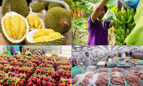 Kim ngạch nhập khẩu nông lâm thủy sản quý I/2026 nhích tăng, áp sát mốc 12 tỷ USD