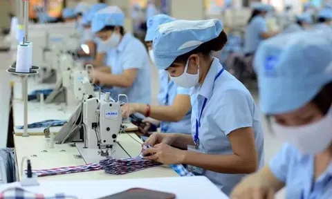 Điều chỉnh chính sách thuế: Ngưỡng thu nhập người phụ thuộc dự kiến tăng mạnh lên 3 triệu đồng/tháng