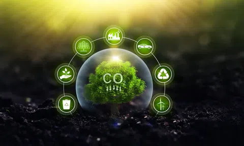 Giao dịch tín chỉ carbon gắn với hệ thống tài khoản chứng khoán