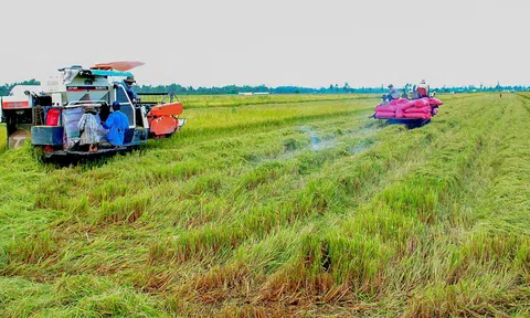 Nông nghiệp bước vào kỷ nguyên số: "Cánh đồng lớn" chờ cú hích công nghệ