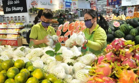 Xuất khẩu rau quả khởi sắc đầu năm, mở rộng dư địa tăng trưởng những tháng tới