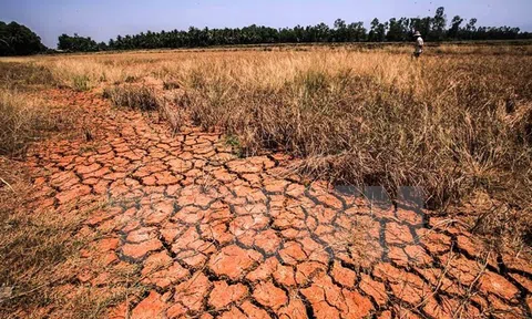 El Nino có thể kích hoạt khủng hoảng nước diện rộng từ cuối năm 2026