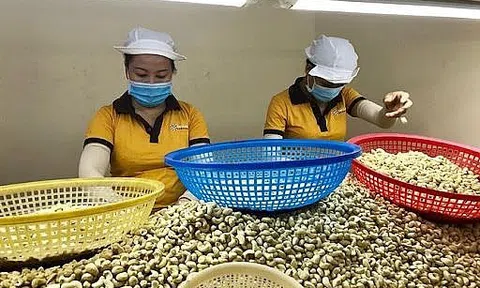 Kim ngạch nông sản tăng trưởng nhưng đối diện thách thức giảm giá trị xuất khẩu