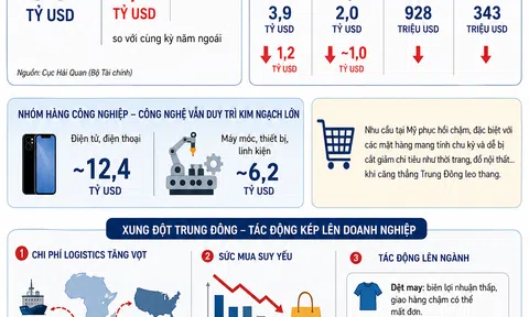 [Infographic] Xuất khẩu sang Mỹ giảm gần 10%, nhóm hàng chủ lực chịu áp lực lớn