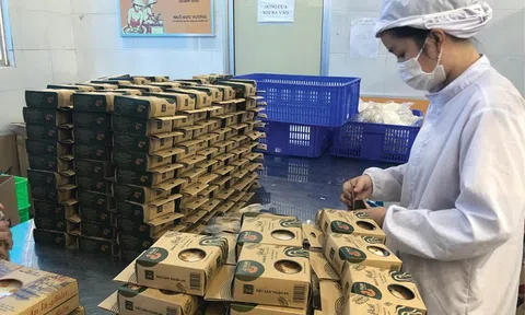 Doanh nghiệp siết chặt bảo vệ sở hữu trí tuệ, chủ động ứng phó rủi ro trong môi trường số hóa