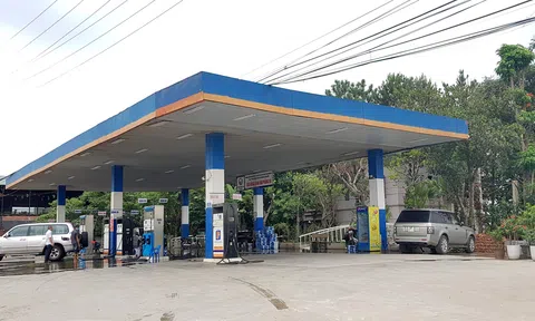 Hà Nội cho phép chuyển đổi hơn 3.300 m2 đất lúa làm dự án xăng dầu tại Thạch Thất