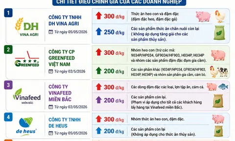 [Infographic] Thức ăn chăn nuôi đồng loạt điều chỉnh giá, áp lực chi phí tiếp tục đè nặng