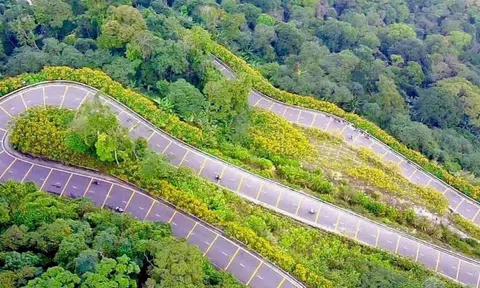 Hà Nội chính thức tiếp quản Vườn quốc gia Ba Vì, tăng cường quản lý tài nguyên và bảo tồn hệ sinh thái