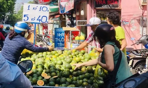 Xuất khẩu tăng tốc nhưng giá trái cây trong nước vẫn lao dốc