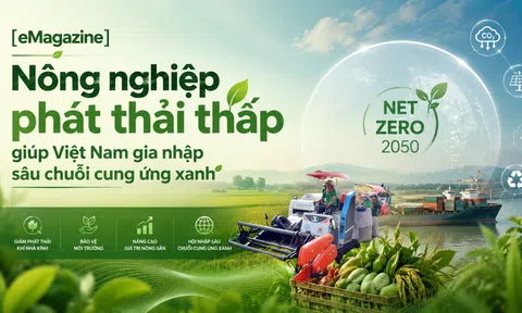 [eMagazine] Nông nghiệp phát thải thấp giúp Việt Nam gia nhập sâu chuỗi cung ứng xanh