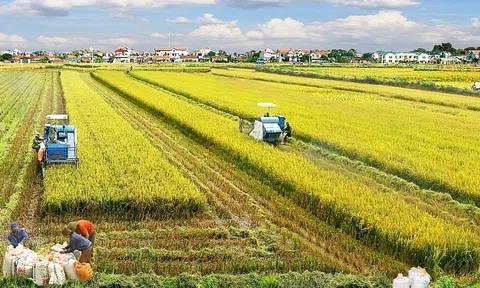 Rà soát thuế sử dụng đất, nghiên cứu chính sách thuế mới với nhà đất