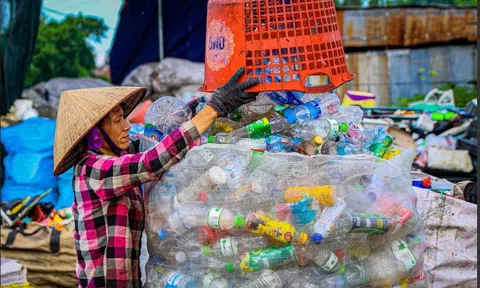 Kiến nghị cho phép doanh nghiệp kê khai thuế hộ lực lượng ve chai, đồng nát