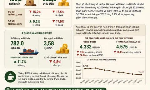 [Infographic] Sản lượng cà phê xuất khẩu tăng gần 12% trong 4 tháng đầu năm