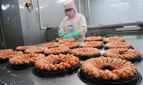 Xuất khẩu tôm sang Mỹ tiếp tục đối mặt nhiều thách thức mới