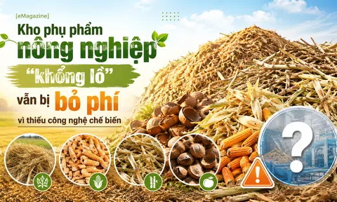 [eMagazine] Kho phụ phẩm nông nghiệp "khổng lồ" vẫn bị bỏ phí vì thiếu công nghệ chế biến