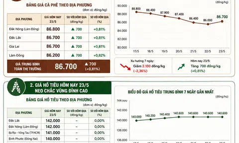 [Infographic] Giá nông sản hôm nay ngày 23/5: Cà phê tăng mạnh trở lại, hồ tiêu tiếp tục vững giá tại Tây Nguyên