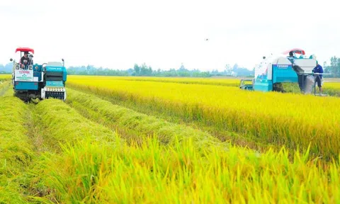 Xây dựng thương hiệu nông sản phát thải thấp cho thị trường xuất khẩu