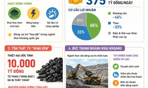 TKV báo lãi tăng 23% nhưng doanh thu than mất hơn 10.000 tỷ đồng