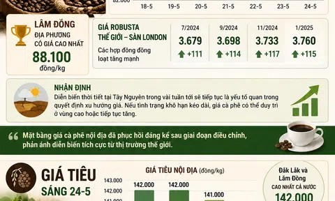 [Infographic] Giá nông sản hôm nay ngày 24/5: Cà phê và hồ tiêu tiếp tục tăng giá