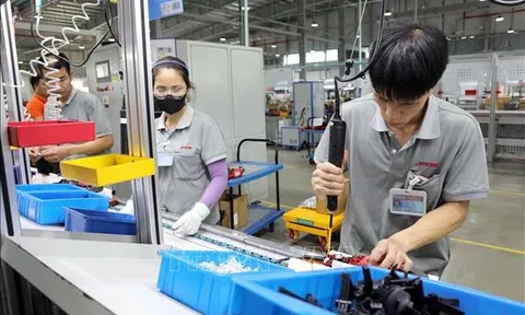 Lãnh đạo doanh nghiệp nhà nước chỉ được giữ chức tối đa 2 nhiệm kỳ trong trường hợp nào?