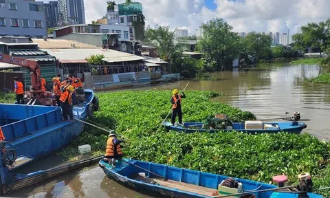 TP.HCM kiểm soát nguồn thải, nâng chất lượng nước công trình thủy lợi