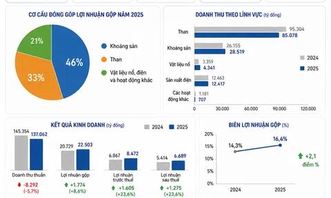 [Infographic] Toàn cảnh bức tranh tài chính năm 2025 của TKV