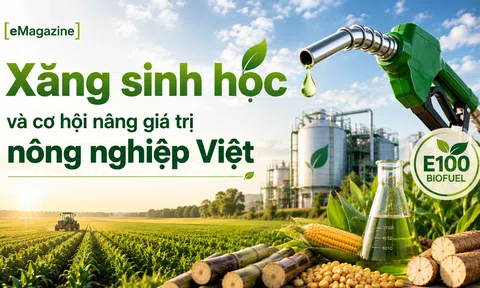 [eMagazine] Xăng sinh học và cơ hội nâng giá trị nông nghiệp Việt