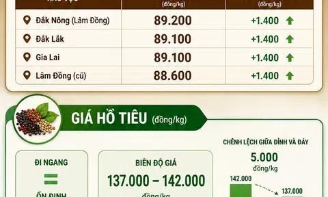 [Infographic] Giá nông sản hôm nay ngày 30/5: Cà phê dẫn sóng tăng giá, hồ tiêu duy trì trạng thái tích lũy