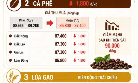 [Infographic] Giá nông sản hôm nay ngày 31/5: Cà phê giảm sâu, hồ tiêu neo đỉnh giá, lúa gạo giao dịch chậm