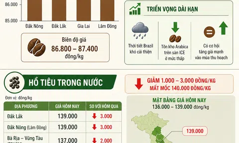 [Infographic] Giá nông sản hôm nay ngày 2/6: Hồ tiêu mất mốc 140.000 đồng/kg, cà phê Tây Nguyên đi ngang
