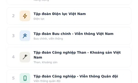 [Infographic] Những tập đoàn, tổng công ty nào thuộc diện Nhà nước nắm 100% vốn?