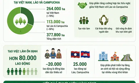 [Infographic] Từ cây cao su đến hệ sinh thái kinh tế đa ngành của VRG