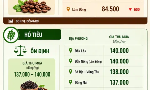 [Infographic] Giá nông sản hôm nay ngày 7/6: Giá cà phê tiếp tục đi xuống, hồ tiêu và lúa gạo giữ mặt bằng ổn định