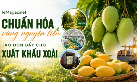 [eMagazine] Chuẩn hóa vùng nguyên liệu, tạo đòn bẩy cho xuất khẩu xoài