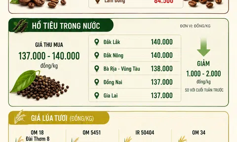 [Infographic] Giá nông sản hôm nay ngày 8/6: Cà phê, hồ tiêu tiếp tục mất giá, xuất khẩu gạo vẫn là điểm sáng