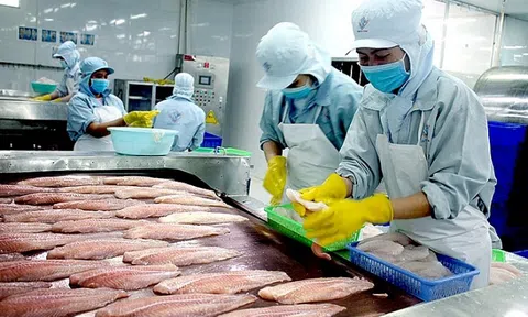 Thủy sản tăng tốc nhờ tôm và cá tra, áp lực chi phí và rào cản thương mại gia tăng