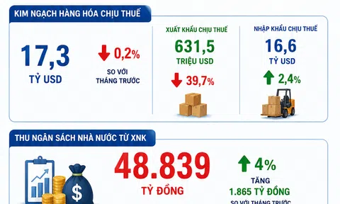 [Infographic] Nhập khẩu tăng tốc, ngân sách nhà nước thu gần 49.000 tỷ đồng